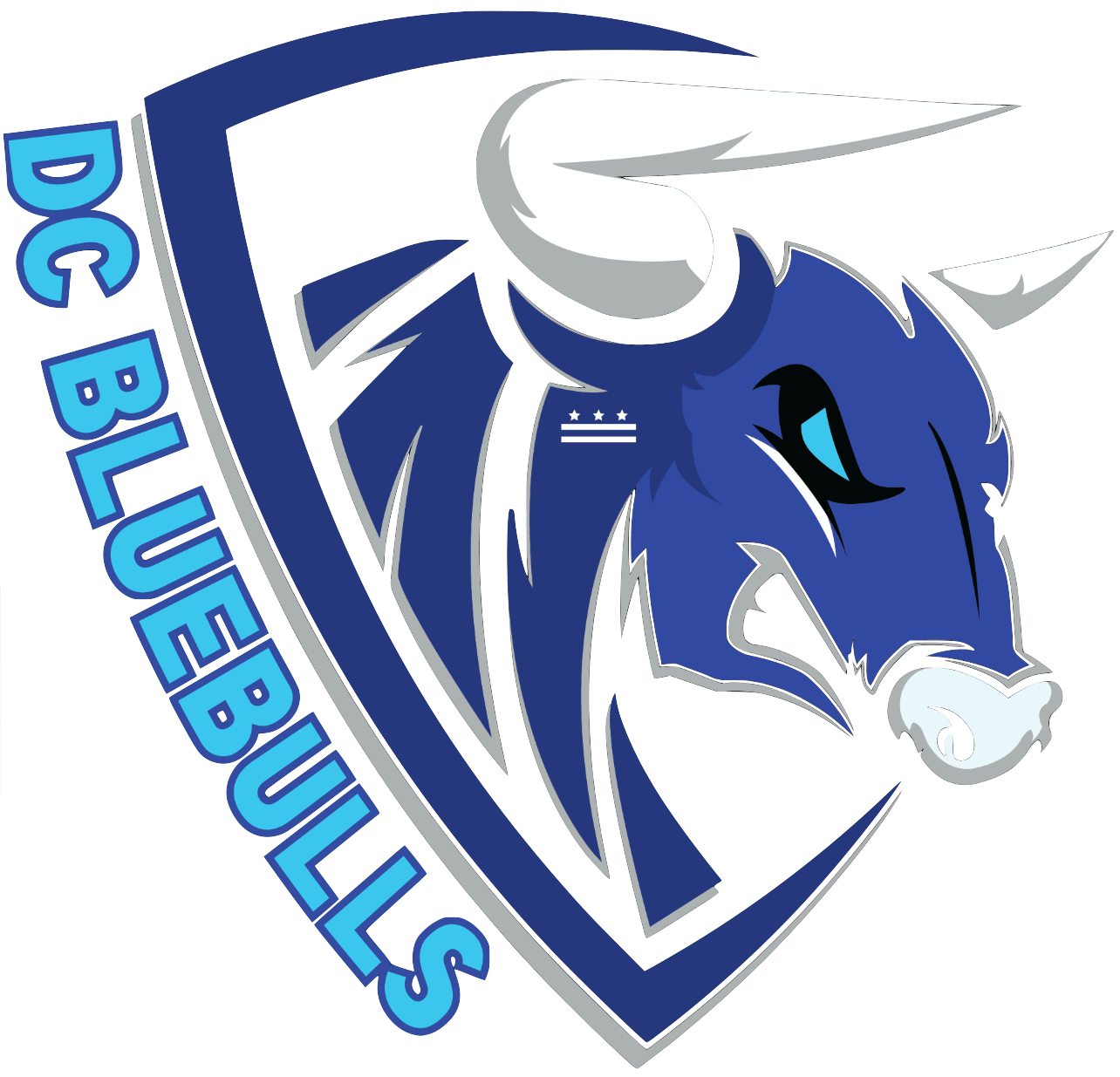 DC Blue Bulls
