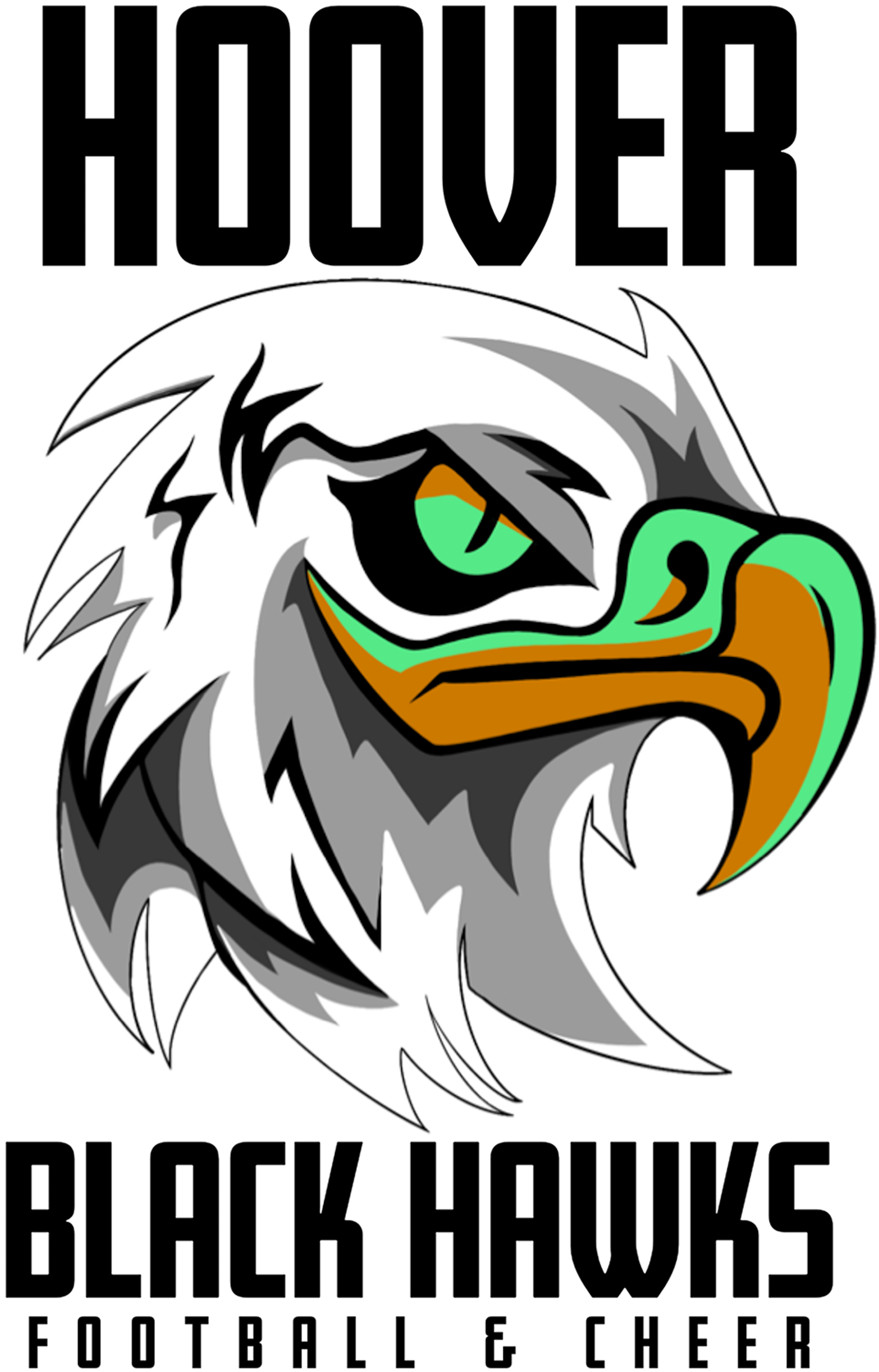 Hoover Black Hawks
