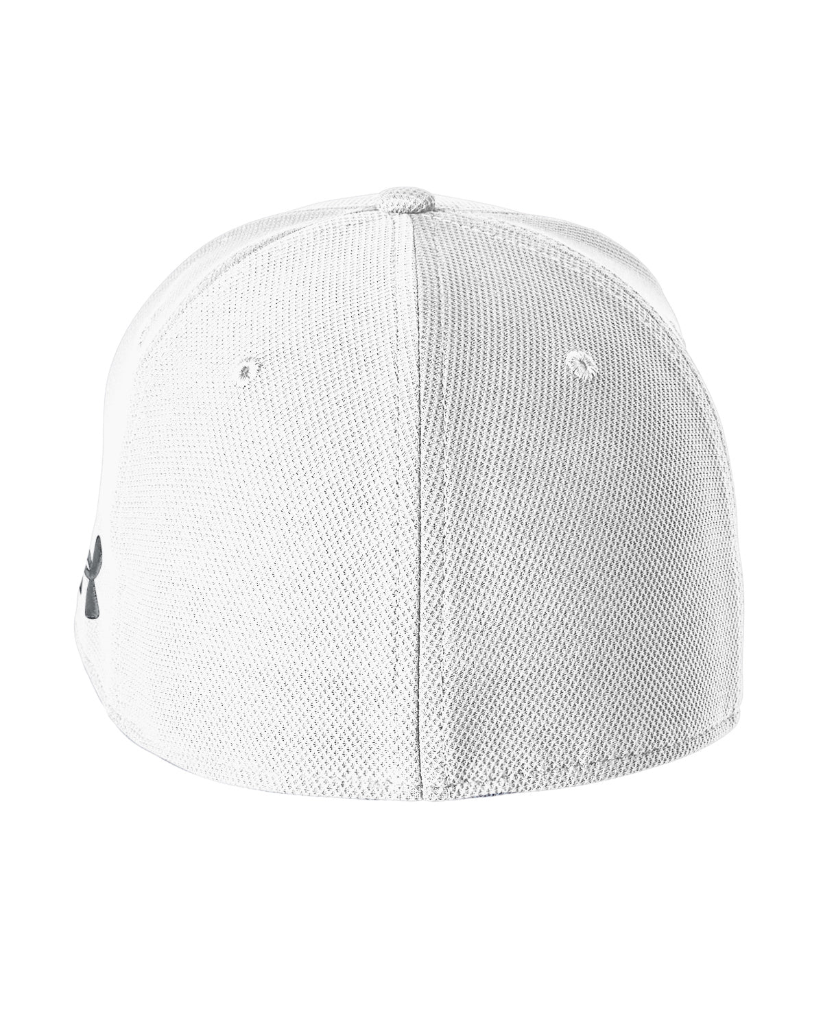 Under Armour Unisex Blitzing Curved Cap (1325823)